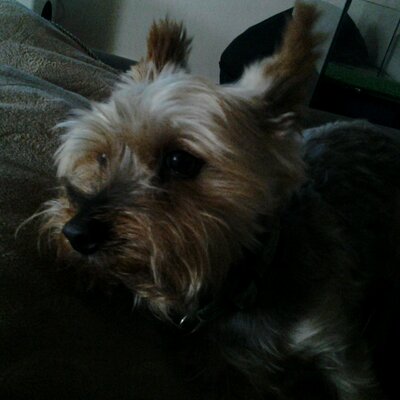 Profile Picture of Cassandra Vogel (@@TunnelVision7) on Twitter