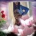 Profile Picture of Shellie Morgan (@shellie.morgan.58) on Facebook