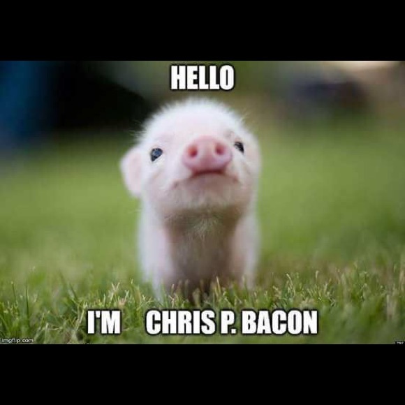 Profile Picture of Phillip Chau (@pnc1999) on Poshmark