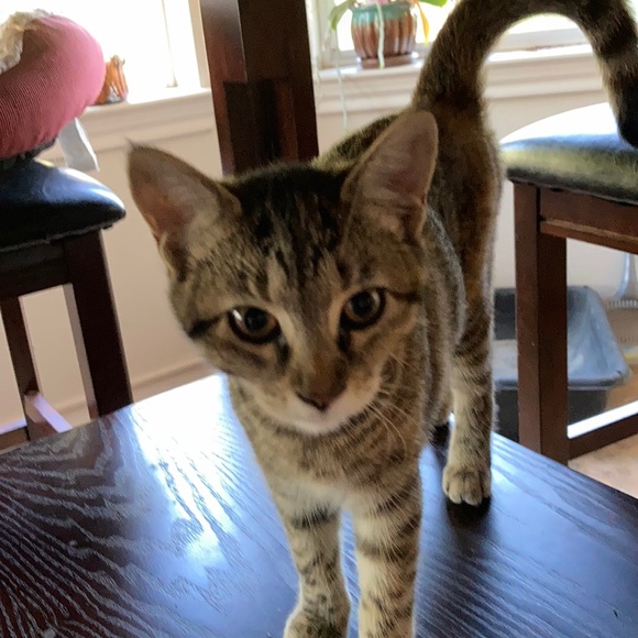 Profile Picture of Rebecca Schneider (@rebeccaschne399) on Poshmark