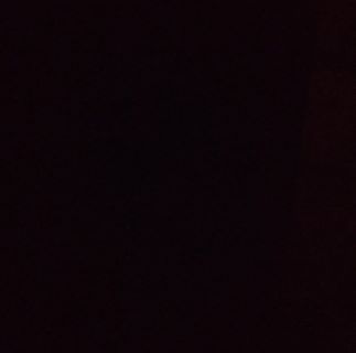 Profile Picture of Steven Feigl (@steven.feigl.5) on Facebook