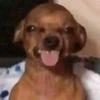 Profile Picture of Gerardo Ramos (@@gerardo_ramos_) on Tiktok