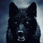 Profile Picture of adam_Ahmeddi (@adam.rifeno) on Instagram