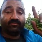 Profile Picture of •Üzüm Yerken Birsey Açıklamaya Çalışan Adam• (@namnamnaimgg_daily) on Instagram