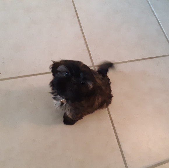 Profile Picture of Maria Belekevich (@mariabelekevich) on Poshmark