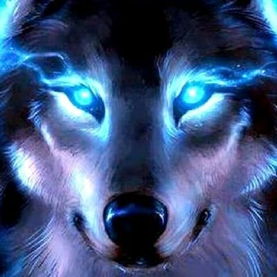 Profile Picture of Bradford Stewart (@BradfordStewar8) on Twitter