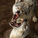 Profile Picture of Brad Pritchett (@brad.pritchett.7) on Instagram