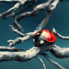 Profile Picture of Jessie Neely (@JessieNeely5) on Twitter