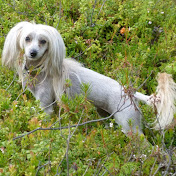 Reea Jyrkinen - Youtube Profile Picture of Reea Jyrkinen (@TheJere2002) on Youtube