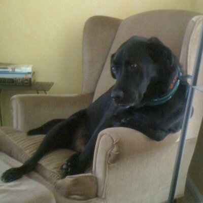 Patrick Yaeger - Twitter Profile Picture of Patrick Yaeger (@8MooseFeet) on Twitter