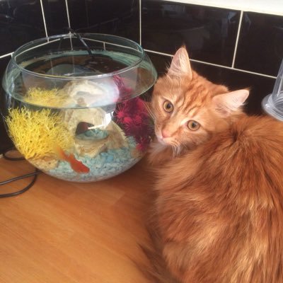 Profile Picture of Leo Joseph Waters (@leojosephwaters) on Twitter