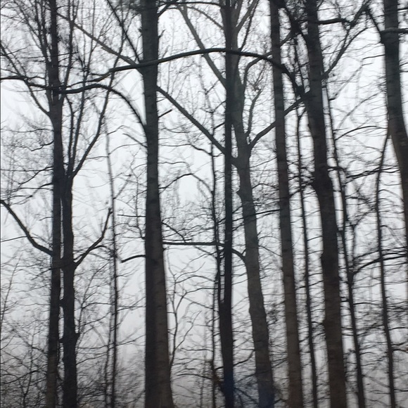 Profile Picture of Kerri Squires (@kerrilynns) on Poshmark