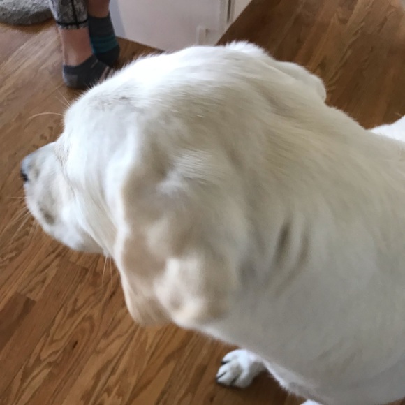 Lucy Rakowski - Poshmark Profile Picture of Lucy Rakowski (@lucygrace3) on Poshmark