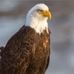 Profile Picture of Ben Piatt (@mike.jergens.927) on Facebook