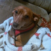 Profile Picture of Erin Schneider (@erin-schneider-13) on Quora