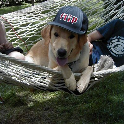 Profile Picture of Mariel King (@kingking20) on Twitter