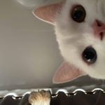 김뎐 - Instagram Profile Picture of 김뎐 (@k1ss_my_wounds) on Instagram