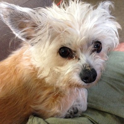 Profile Picture of Dan Edmondson (@DanEdmondson18) on Twitter