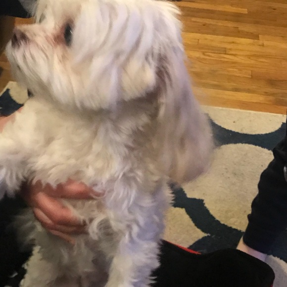 Profile Picture of Rye Rye (@ryan10993) on Poshmark