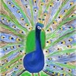 Profile Picture of Phyllis Broome (@phyllisbroome) on Instagram