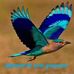 Profile Picture of Surinder Verma (@surinder.verma.902) on Facebook