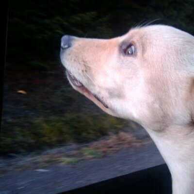 Profile Picture of Daniel Hunter Valois (@danielvalois) on Twitter