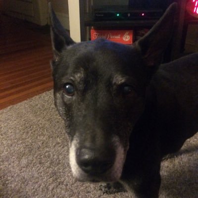 Profile Picture of Chris Kale (@chrisjkale) on Twitter