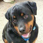 Profile Picture of Michele Henninger James (@michelehenningerjames) on Instagram