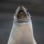 Profile Picture of Michelle Steane (@michellesteanephotography) on Instagram