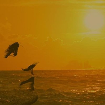 Profile Picture of Alex Distefano (@alex_d1stefano) on Twitter