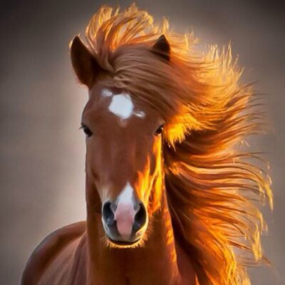Profile Picture of Jeff Harkins (@jeff_harkins) on Twitter