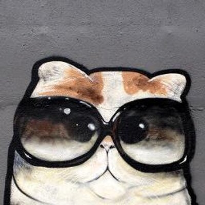 Profile Picture of Matthew Newell (@matthewanewell) on Twitter