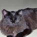 Profile Picture of Francois Lucas (@francois.lucas.549) on Facebook