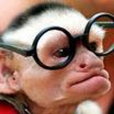 Profile Picture of Chris Von Feldt (@cvonfeldt) on Twitter