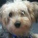 Profile Picture of Reese James Feigert (@reesejames.feigert) on Facebook