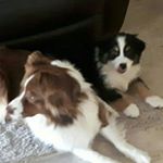 Profile Picture of Peter Alderson (@peteralderson0013) on Instagram