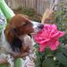Profile Picture of Gelena McWethy (@gelena1170) on Pinterest