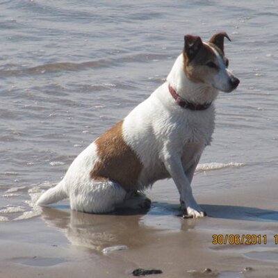 Profile Picture of Barry Martin (@barrymartin17) on Twitter