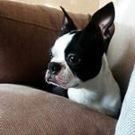 Profile Picture of youly (@youlylaperra) on Instagram