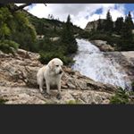 Profile Picture of dominick martin (@dominickmartin5) on Instagram