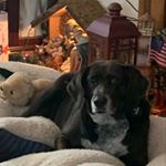 Kevin Wolfgang - Instagram Profile Picture of Kevin Wolfgang (@morecustomers) on Instagram