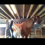 Profile Picture of Haley Mullen (@haley.old.account) on Instagram