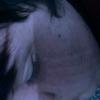 Profile Picture of Gavin Robertson (@@milkman43) on Tiktok