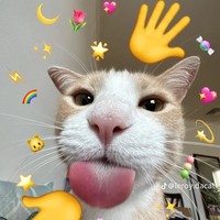 Profile Picture of Kris Gibbons  (@kris-gibbons-2) on Quora