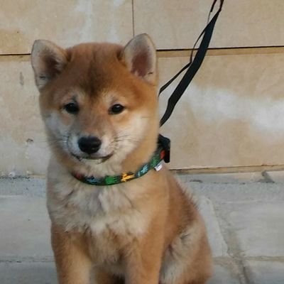 Profile Picture of Natasa Gavrielidou (@NGavrielidou) on Twitter