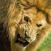 Profile Picture of Kenny Dupont (@kenny.dupont.14) on Facebook