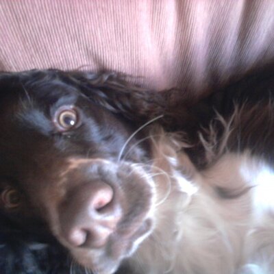 Profile Picture of David Latcham (@David_Latcham) on Twitter