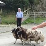 Profile Picture of Chris Greaney (@greaneychris) on Instagram