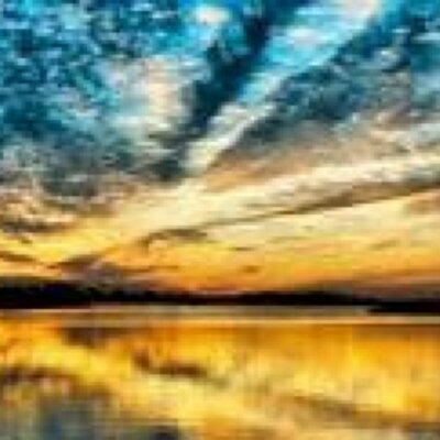 Profile Picture of William Wayt (@WaytWw) on Twitter