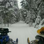 Profile Picture of Andrew Notte (@andrewnotte) on Instagram